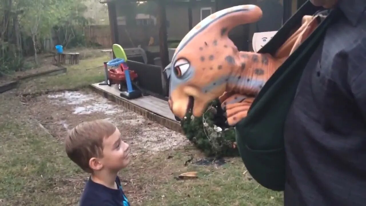 Logan Xavier 2017 11 26 Jungle John Baby Dinosaur