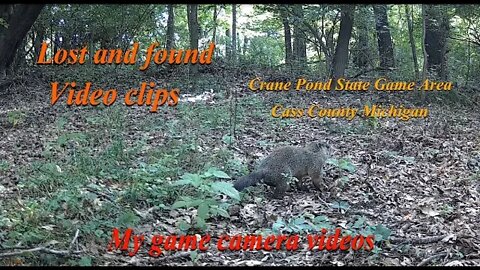 Lost and found clips