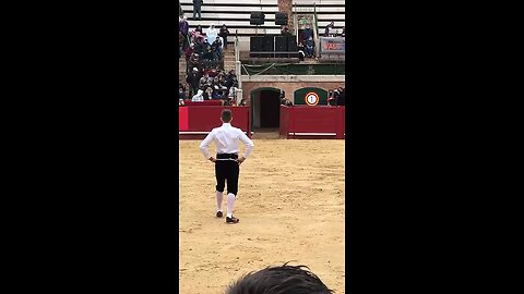 spanish man vs. Bull