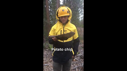 Potato chip