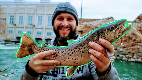 THE BEST DAM FISHING SERIES #2 | Trout Fishing | HOW TO CATCH BIG RIVER TROUT {IDAHO}