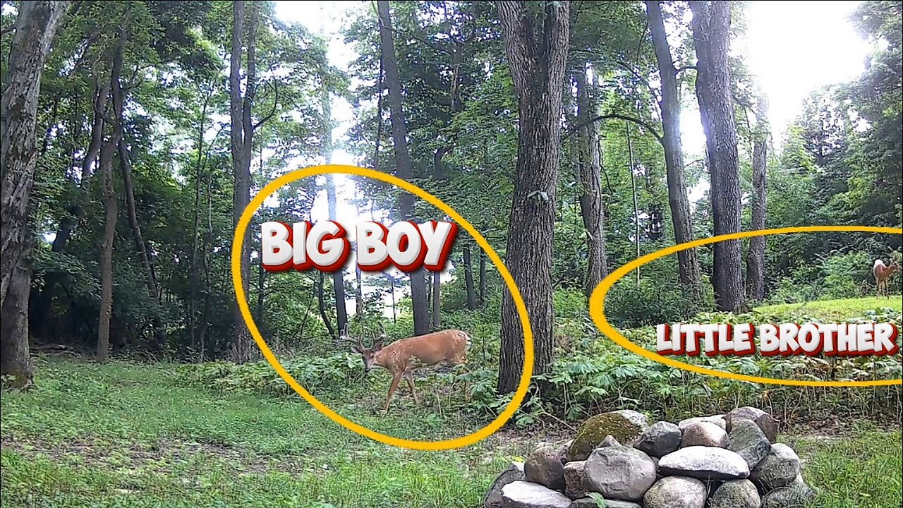 The Big Boy brought his little brother for lunch