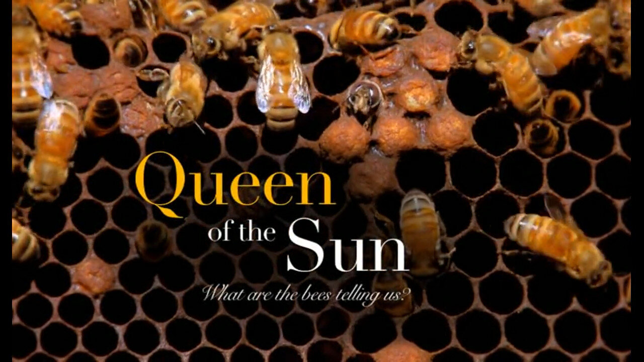 Queen of the Sun [2010 - Taggart Siegel]