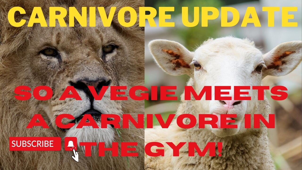 A Vegie meets a Carnivore in the gym, My carnivore update #carnivore VS #bloodcancer