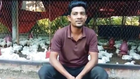 পৌল্ট্রী ফার্ম, টিকর পাড়া। Poultry Farm Pt2.Tikar Para.