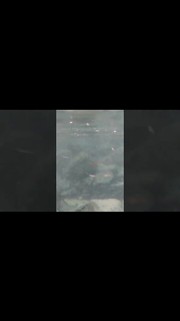 I Put My Mobile Phone Underwater To See What Happens #AeroArduino