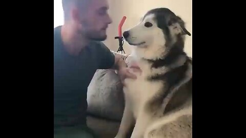 Cute dog moment 😍😍
