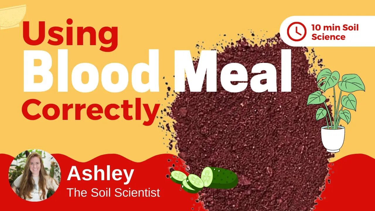 Is Blood Meal A Complete Fertilizer? Why Blood Meal Should Be Used With Houseplants & Not Gardens 🌿