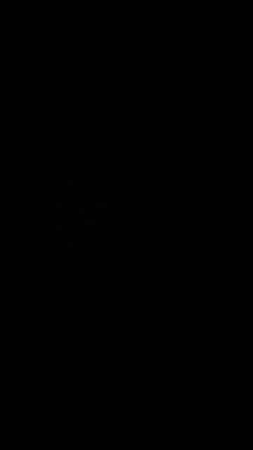 1 bedroom apartments