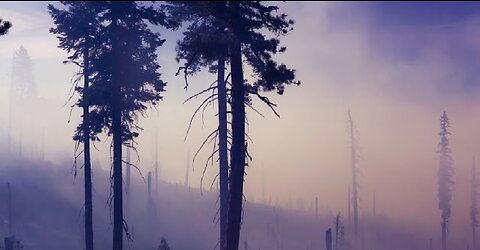Natural firestorm sounds for relax, studying, meditation and sleep. Black screen. 10 Hours. Instantly fall asleep into deep sleep