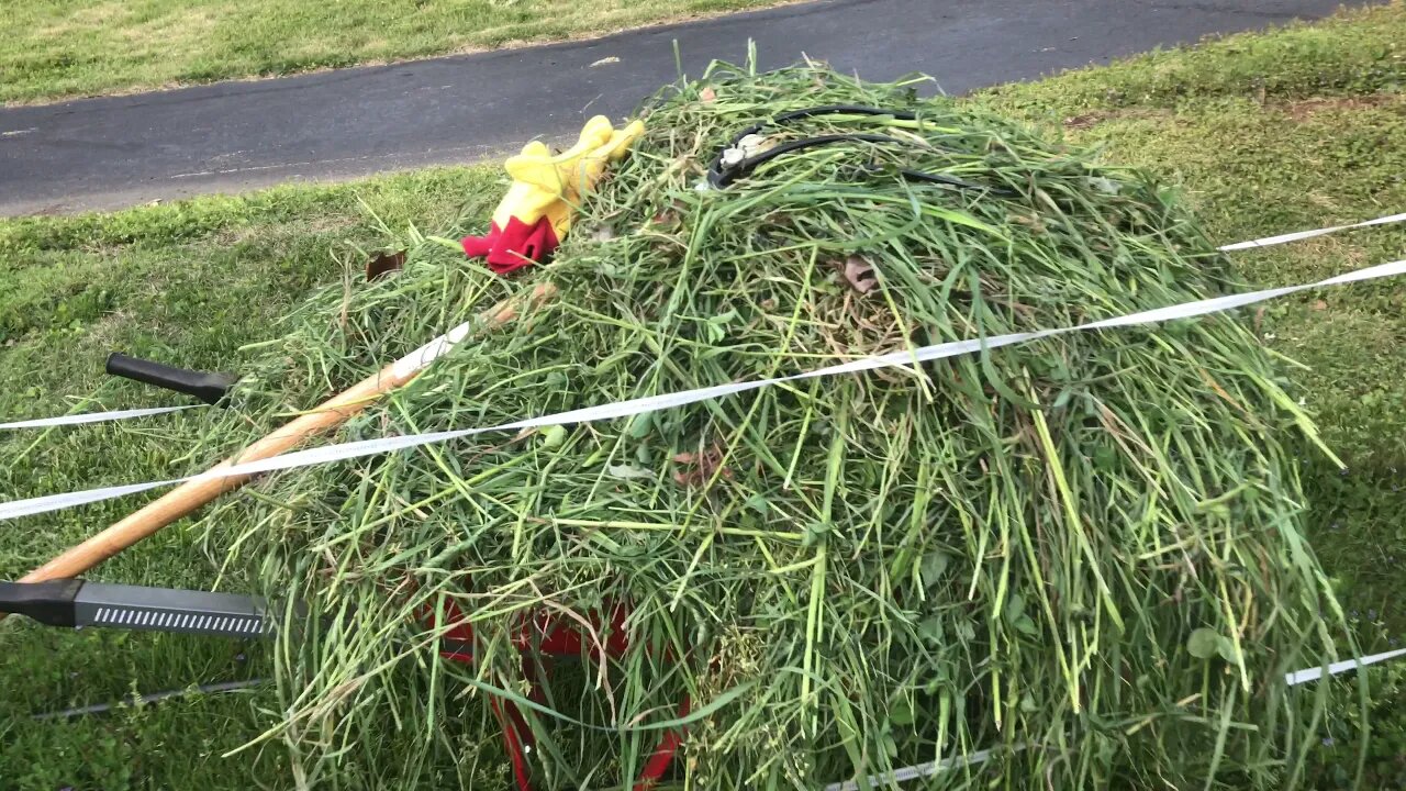 Harvesting long cut grass for the Garden