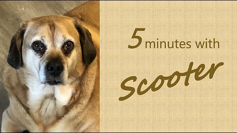 5 Minutes with Scooter - Trust in God