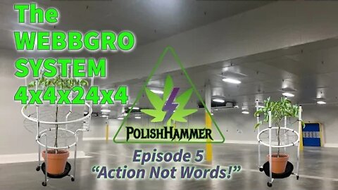 Webbgro 4x4x24x4 ep5 "Action Not Words!" #WEBBGRO #SPIDERFARMER #VIVOSUN #FLORAFLEX day25 🔨