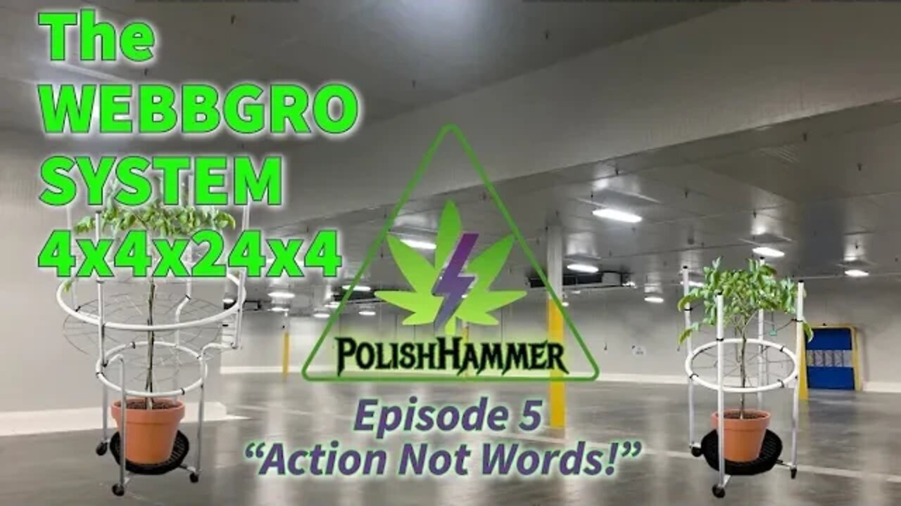 Webbgro 4x4x24x4 ep5 "Action Not Words!" #WEBBGRO #SPIDERFARMER #VIVOSUN #FLORAFLEX day25 🔨