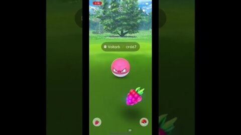 Pokémon Go - Catching Voltorb Gameplay