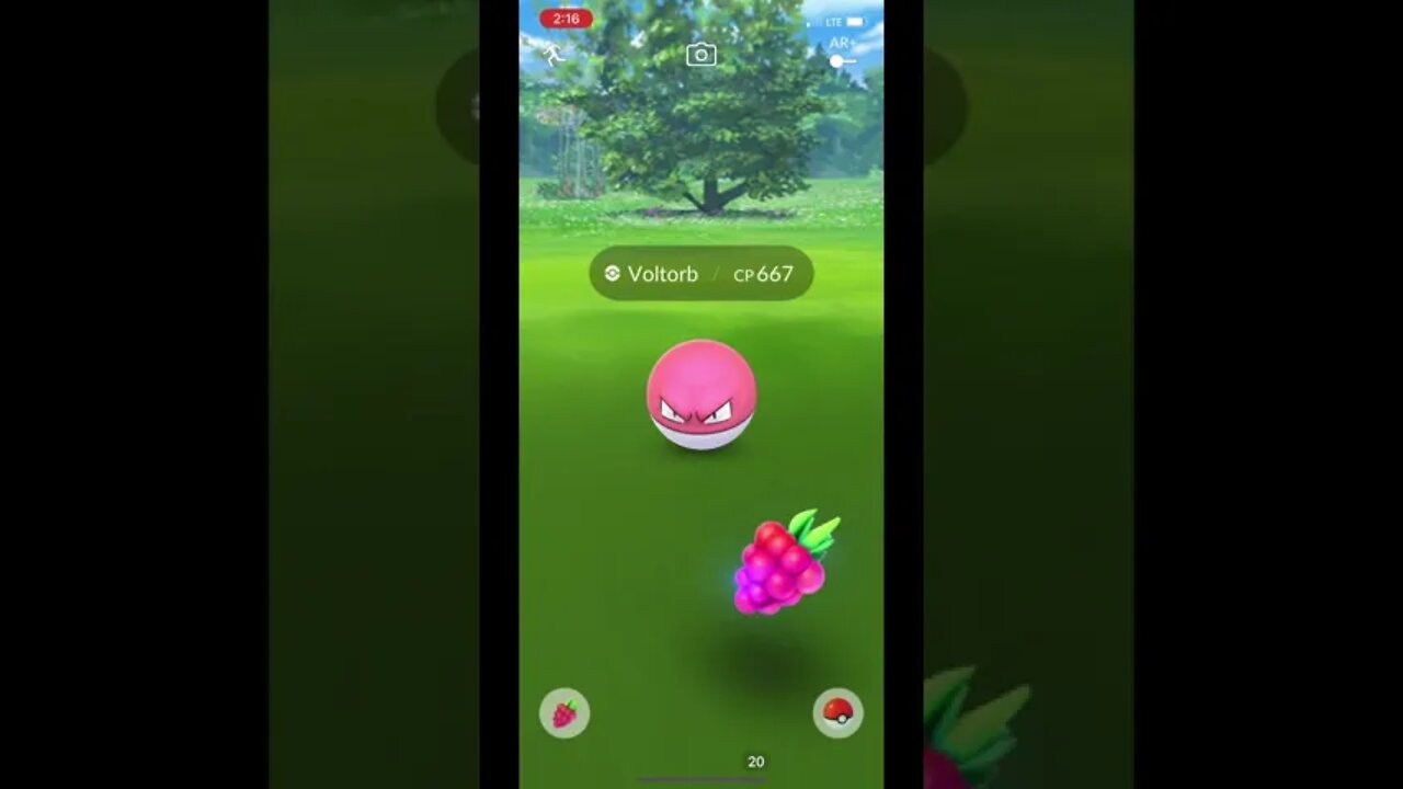 Pokémon Go - Catching Voltorb Gameplay