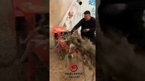 #tiktok #tiktokchina #beauty #shorts #smartgadgetgallery #trending #kitchentools #2022 #gadget_2022