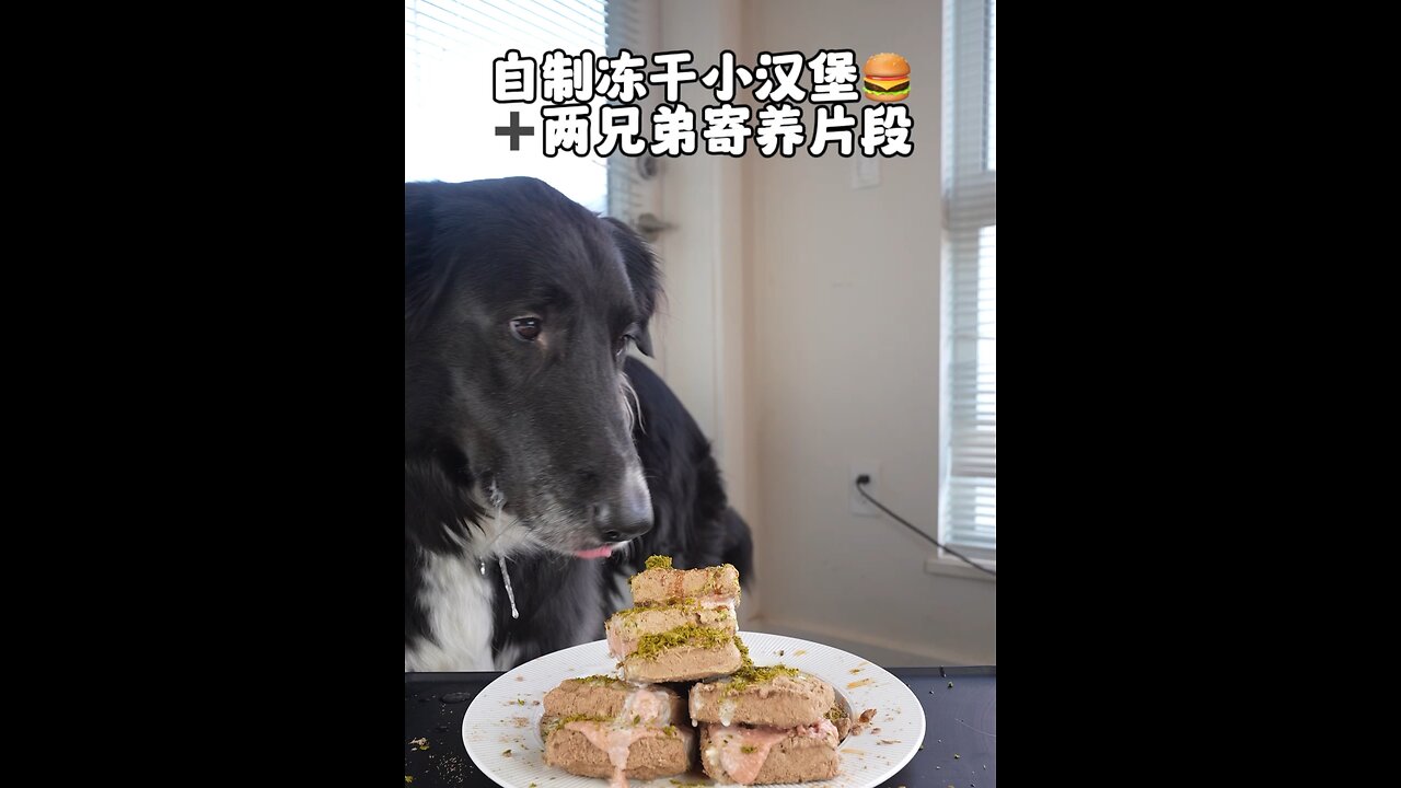 TIger's daily (9/7/2023)