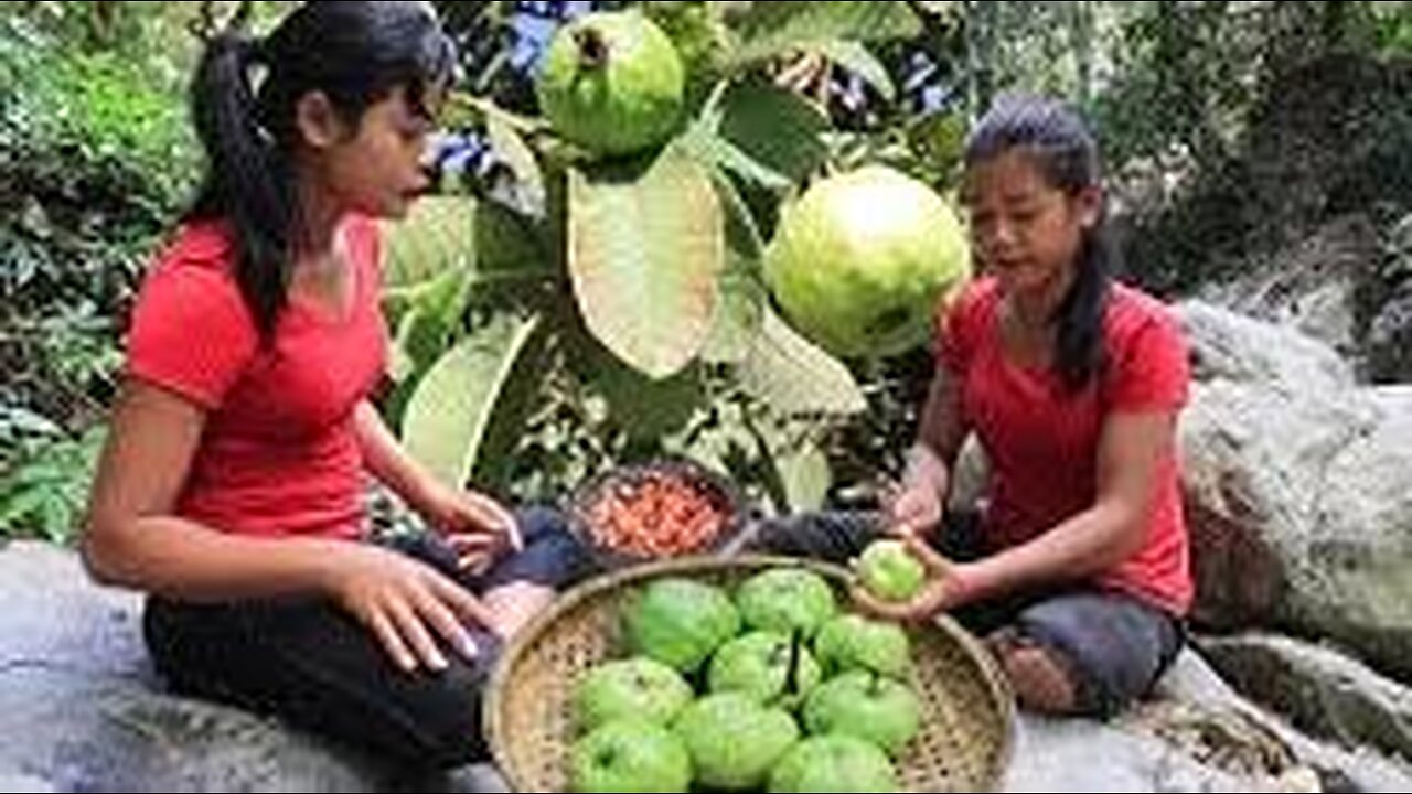 Find Natural guava for Food of survival in the rainforest -Food22 Ep 03