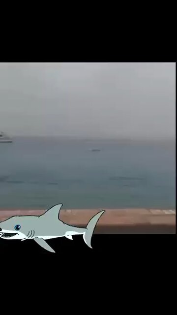 Shark caught eating a man alive