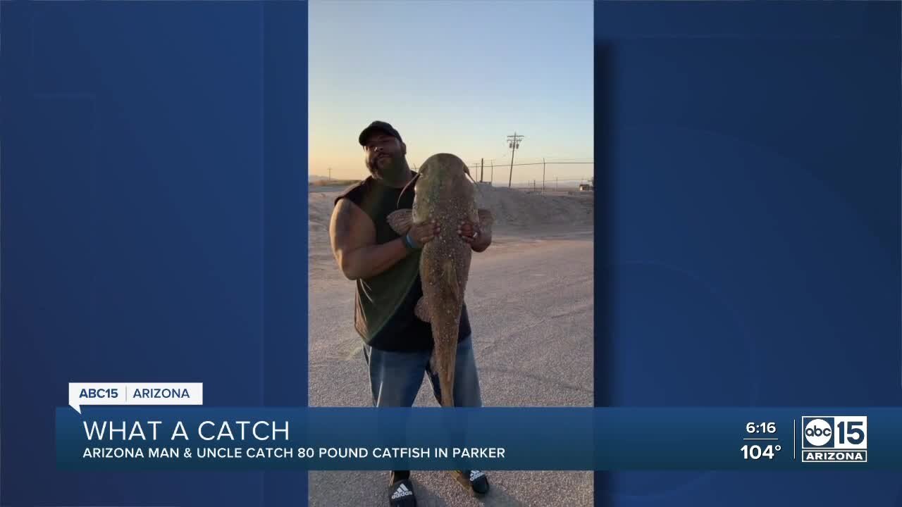 Fisherman bags potential record-breaking catfish in Parker