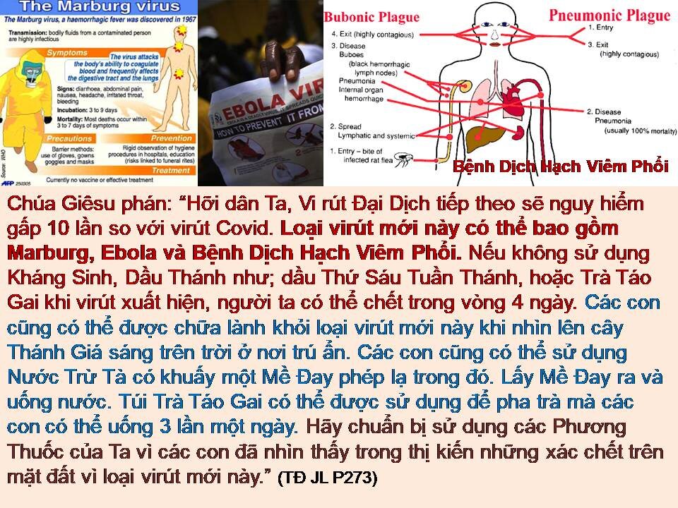 HÃY TÂM LINH HÓA BẢN THÂN, CHUẨN BỊ CHO CUỘC SOI SÁNG LƯƠNG TÂM ĐÃ GẦN KỀ! (TĐ JL.P273)