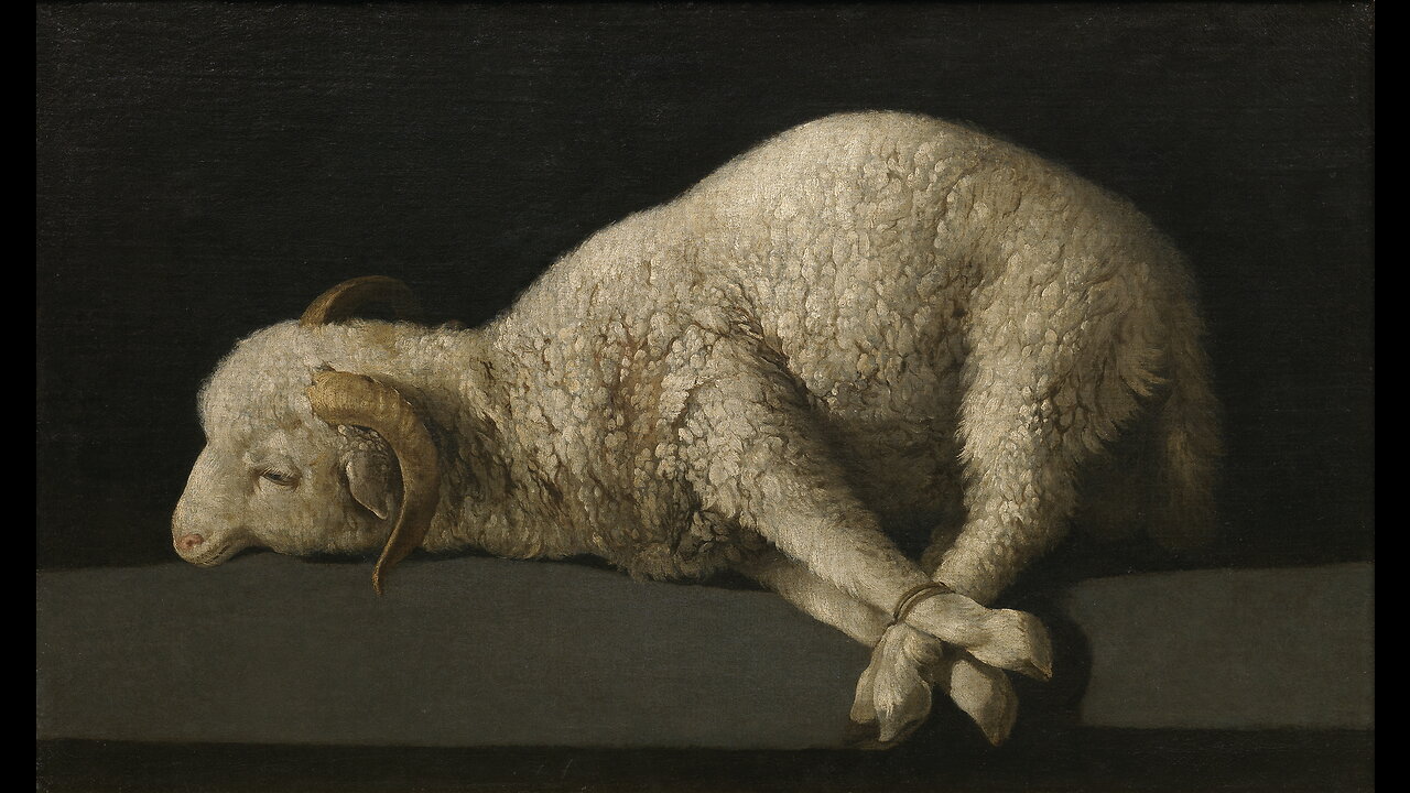 The Silence Of The Lamb