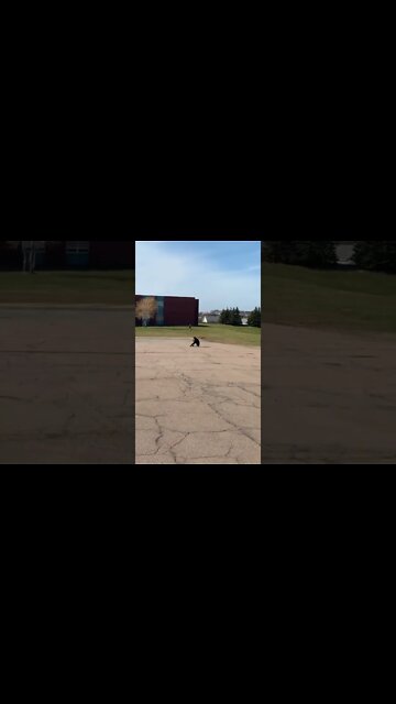 Longboard 180 almost touching ground