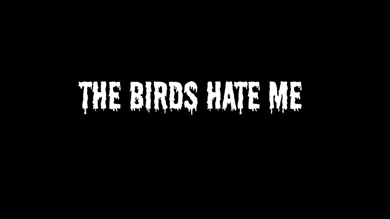 The Birds Hate Me from Story Tellers: 31 Days of Fright