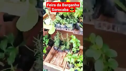 Feira da Barganha de Sorocaba.