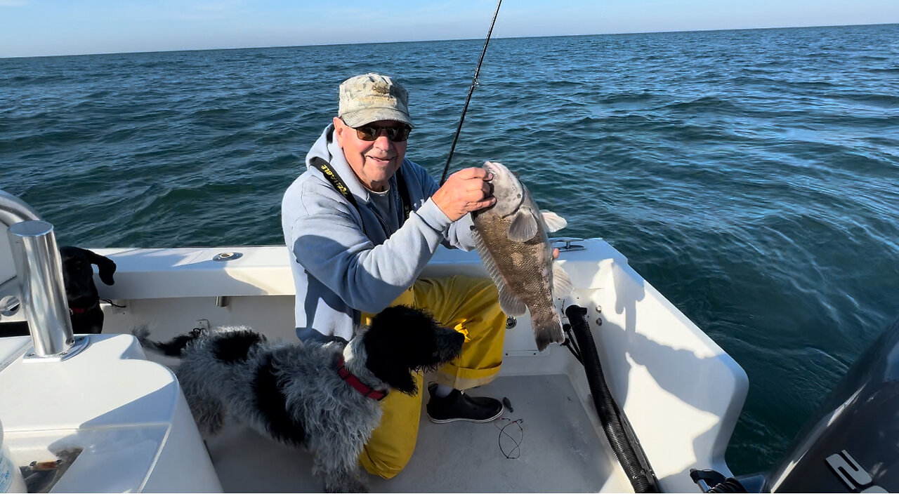 Blackfishing Long Island Sound Election Day 2024