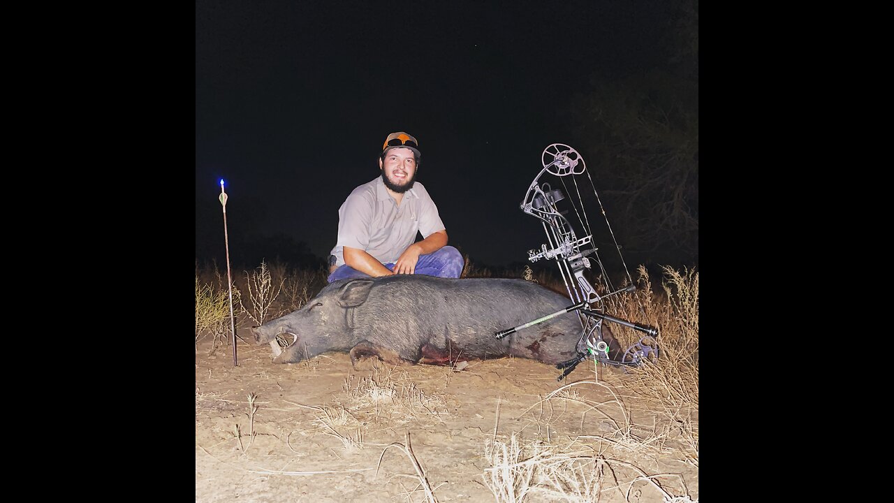 Boar hog down with G5 megameat