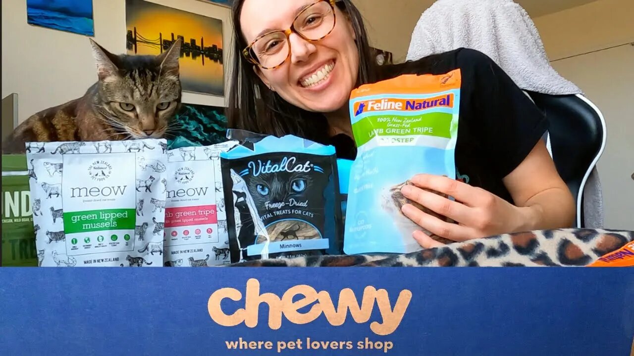 Healthy cat treats on Chewy (live taste test)