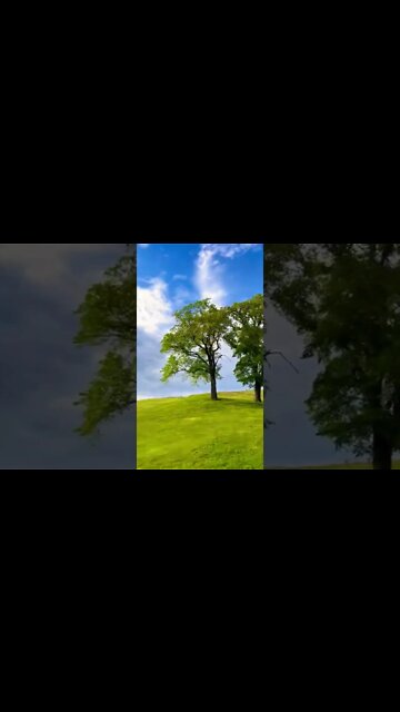 Citadel Hill in Halifax NS