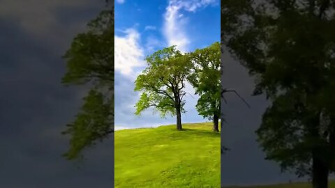 Citadel Hill in Halifax NS