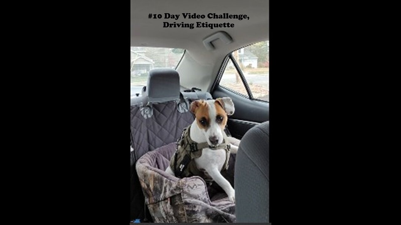 #10 Day Video Challenge, Driving Etiquette