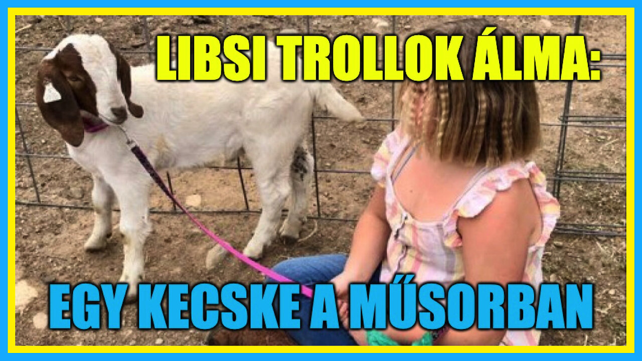 Libsi trollok álma: Egy kecske a műsorban! - Hobbista Hardcore 23-04-04/1.