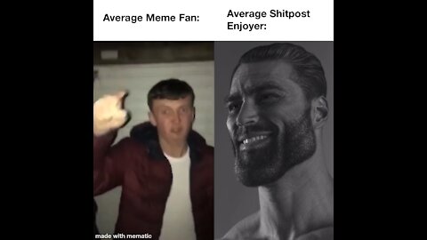 Average Meme Fan Vs Average Shitpost Enjoyer