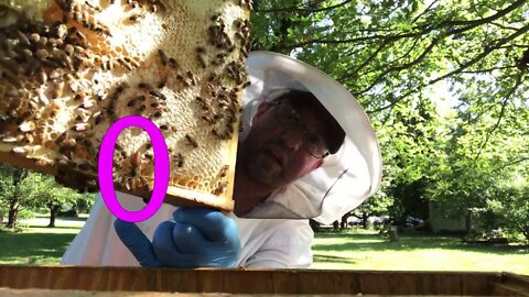 Aug 9, 2019 - Separate Double Nucs & Bonus Hive!!