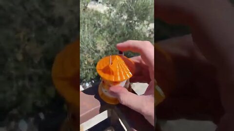 #shorts #2022 funny,prank,funjokes,dad jokes,funny memes,funny video,fun,laughing,funny animal,knock