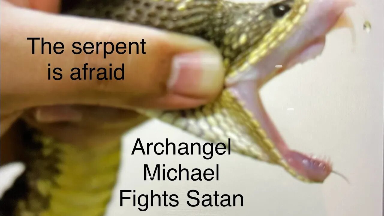 THE SERPENT IS AFRAID RIGHT NOW-Archangel Michael Fights Satan -Tarot Read ♈️♉️♊️♋️♌️♍️♎️♏️♐️♑️♒️♓️