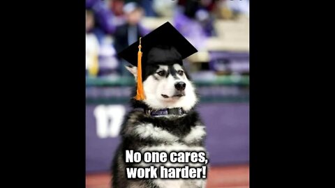 My Open Honest Letter to 2020 High School Grads who won’t have a Ceremony - (adult language warning)