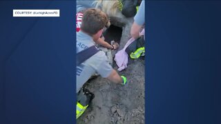 Dog escapes fire, gets stuck in pipe