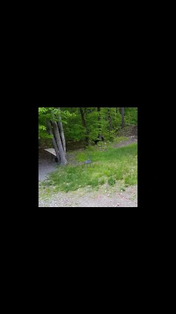 Big Bear - in front of 6.5' Berm