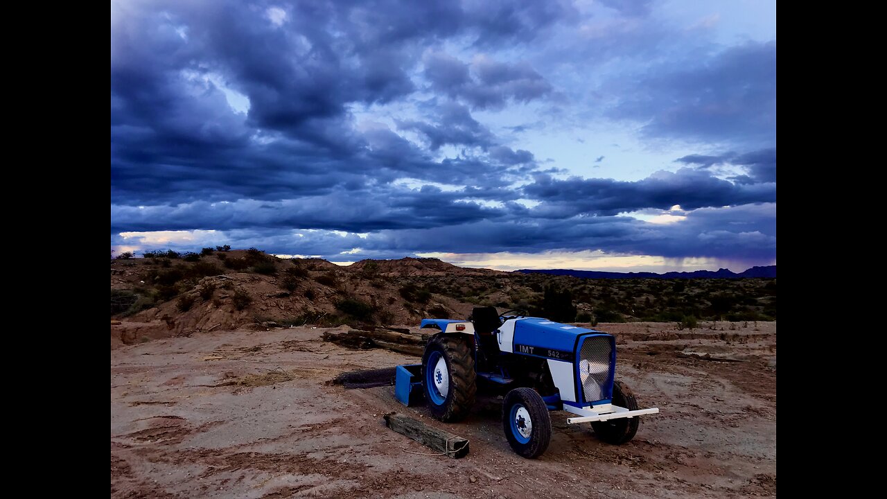 Burroughs, horses & a malamute ohh my. New Mexico sunset