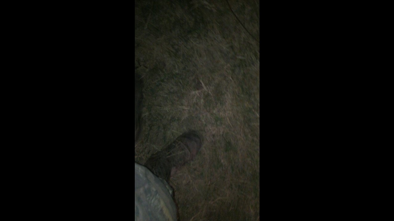 Big Boar Down!!