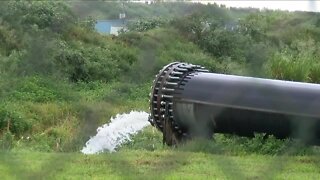 FGCU Professor says rainwater release at Piney Point could still lead to algae blooms