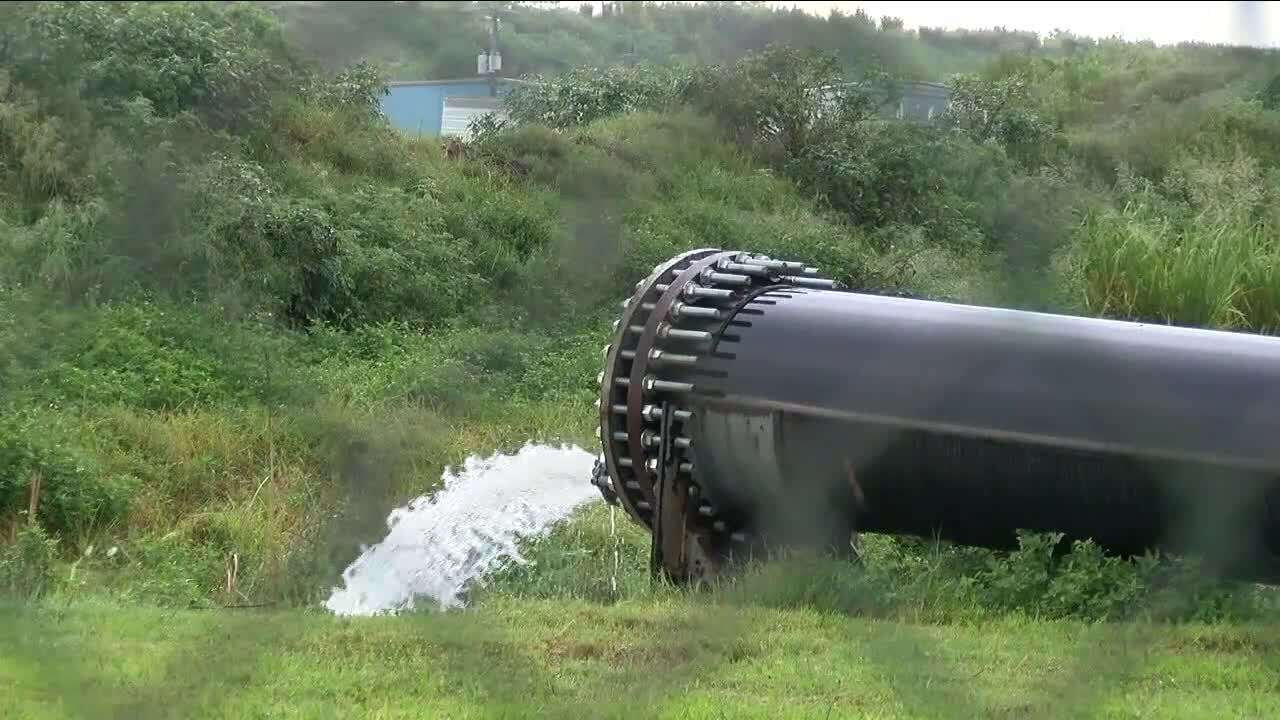 FGCU Professor says rainwater release at Piney Point could still lead to algae blooms