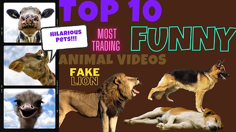 Most Trading Prank With Dogs with fake Lion 🦁 and fake Lion 🦁 to Dogs 🐕 and cats