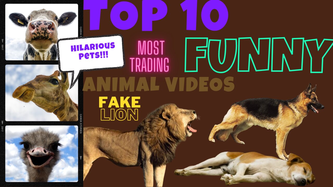 Most Trading Prank With Dogs with fake Lion 🦁 and fake Lion 🦁 to Dogs 🐕 and cats